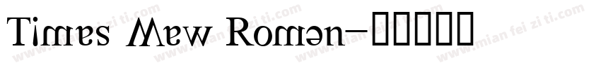 Times Mew Roman字体转换